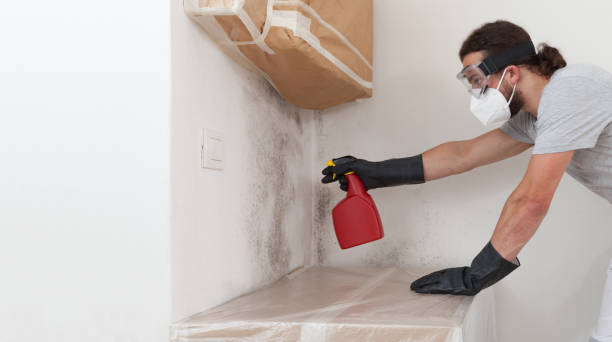 Professional Crawl Space Mold Remediation technician working in New Buffalo, MI