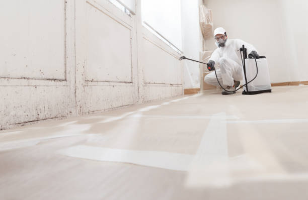 24/7 Emergency Crawl Space Mold Remediation experts in New Buffalo, MI