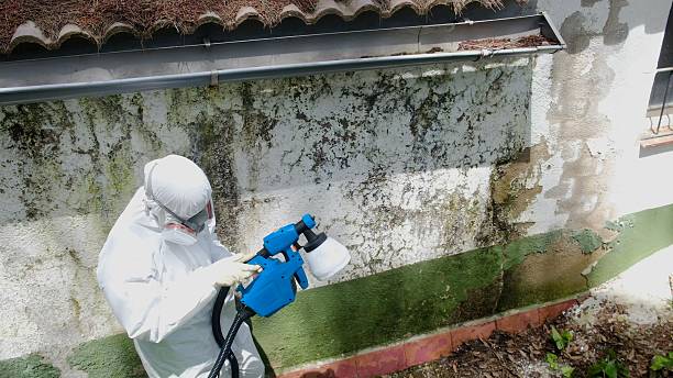 Top rated local Crawl Space Mold Remediation specialists in New Buffalo, MI